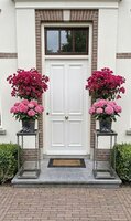 kettingstandaard